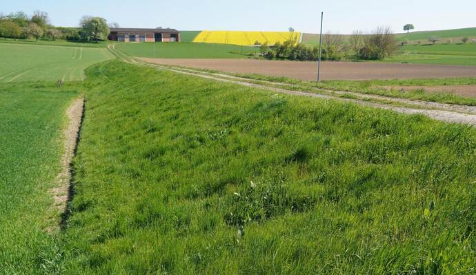Dieses Rückhaltebecken außerhalb von Königsbach hat ein Stauvolumen von rund 9.000 Kubikmetern. Seine Sanierung hat der Gemeinderat mit Blick auf die Kosten zunächst zurückgestellt. Er fordert eine preisgünstigere Lösung.