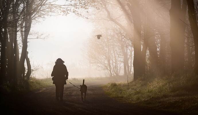 Morgenstimmung in Brandenburg