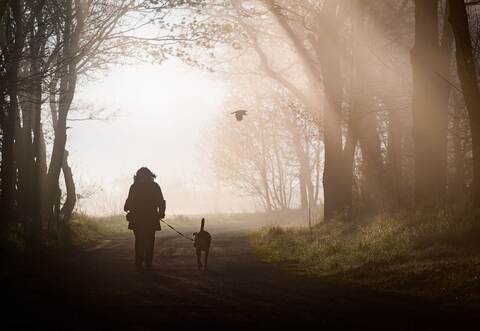 Morgenstimmung in Brandenburg