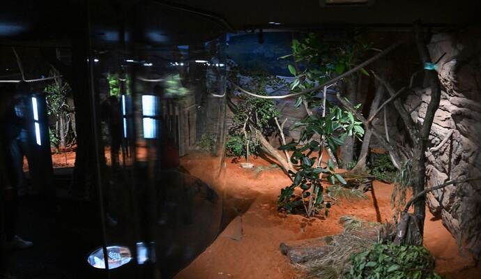 Terra Australis in der Wilhelma