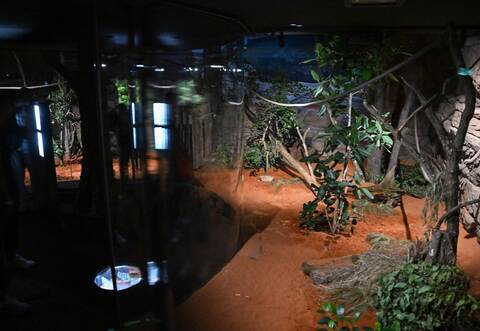 Terra Australis in der Wilhelma