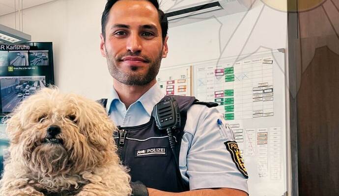 Beamte der Autobahnpolizei haben den Hund ins Pforzheimer Tierheim gebracht.