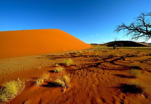 Sanddünen in Sossusvlei