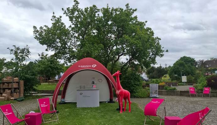 Pinke Giraffe gestohlen