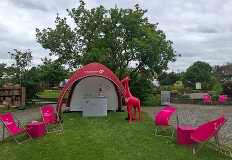 Pinke Giraffe gestohlen