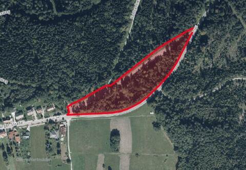 Am Ortseingang von Dobel beim Parkplatz Horntannhalde soll der neue Bauhof der Gemeinde errichtet werden.