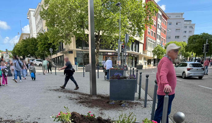 Ein unbekannter Täter habe am Donnerstagmorgen gegen 9.45 Uhr Blumen aus den Pflanzkübeln am Leopoldplatz gerissen und Erde verstreut.