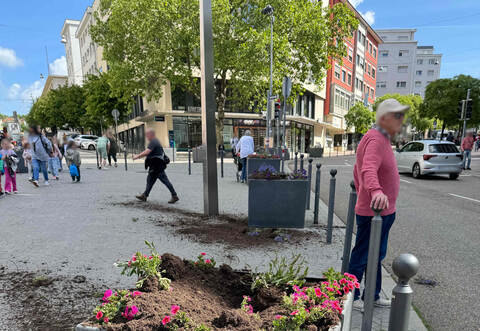 Ein unbekannter Täter habe am Donnerstagmorgen gegen 9.45 Uhr Blumen aus den Pflanzkübeln am Leopoldplatz gerissen und Erde verstreut.