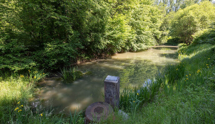 Der einstige Angelteich im Ranntal, in dem vor einem Jahr der Leichnam von Igor Tereshchenko aus Baden-Baden gefunden wurde: Heute erinnert nichts mehr daran, es gibt kein Gedenken für das Opfer, von dem kein persönlicher Bezug nach Keltern bekannt ist. Und auch um die Ermittlungen ist es ruhig geworden.
