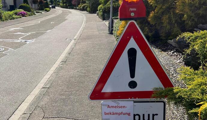 In der Panoramastraße wurden invasive Ameisenkolonien entdeckt, die Gemeinde hat zur Bekämpfung eine Fachfirma beauftragt.
