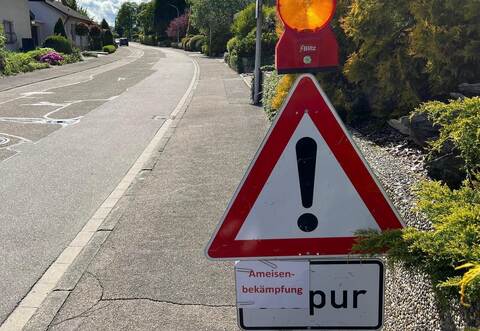 In der Panoramastraße wurden invasive Ameisenkolonien entdeckt, die Gemeinde hat zur Bekämpfung eine Fachfirma beauftragt.