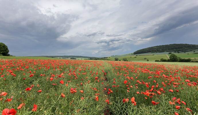Wetter in Baden-Württemberg