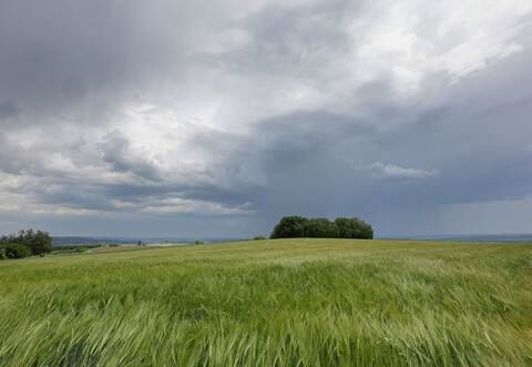 Wetter in Baden-Württemberg
