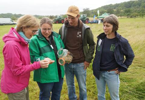 Corinna Benkel vom Landwirtschaftsamt, Kerstin Grant vom LAZBW, Lukas Förster vom Schülenswaldhof und Inga Schraud vom LEV (von links) tauschen sich über Wiesendrusch aus.