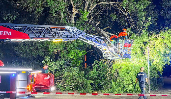 Die Feuerwehr machte den Gehweg wieder sicher. Foto: Fabian Geier / EinsatzReport24