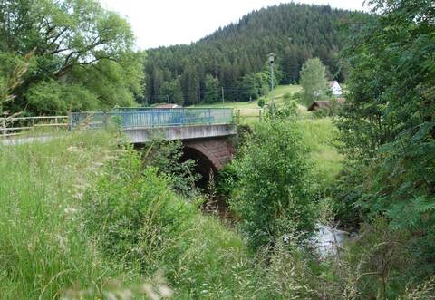 Statt der Brücke über die Große Enz ins Rohnbachtal würde sich hier – wären die Pläne der EVS von 1951 zum Tragen gekommen – wohl ein Stausee zur Versorgung eines Kraftwerks beim Wildbader Windhof mit Triebwasser ausdehnen.