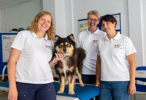 DRK Erste Hilfe Kurs Hunde