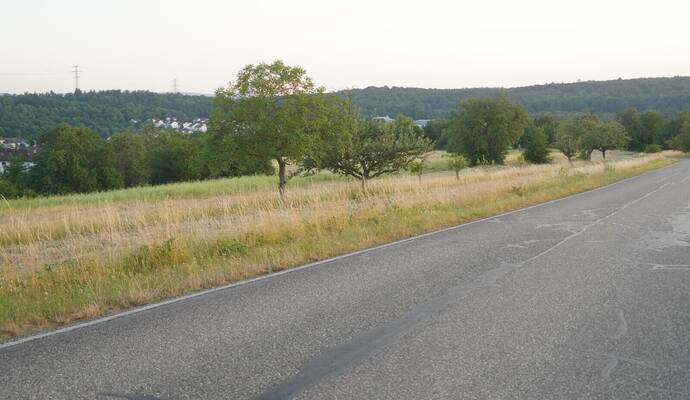 Am Ortsrand von Ispringen, bei der Nussbaumstraße, könnte dereinst das Neubaugebiet „Weglanden“ entstehen. An dem Vorhaben gibt es allerdings weiterhin Kritik.
