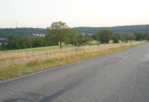 Am Ortsrand von Ispringen, bei der Nussbaumstraße, könnte dereinst das Neubaugebiet „Weglanden“ entstehen. An dem Vorhaben gibt es allerdings weiterhin Kritik.