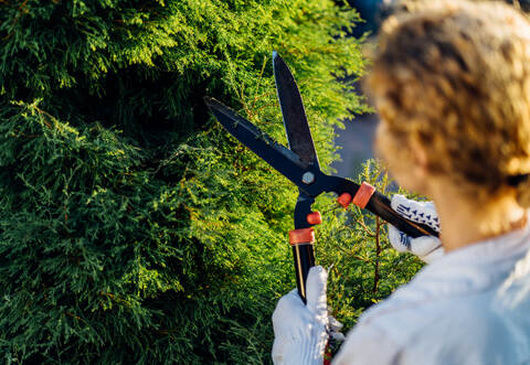 Blond young woman cutting trimming hedge doing garden work. Female gardener pruning shears in hand.