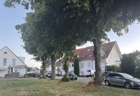 Der Pfadweg in Wimsheim. Auf der Wiese neben der ehemaligen TSV-Halle soll eine Flüchtlings- und Obdachlosenunterkunft entstehen.