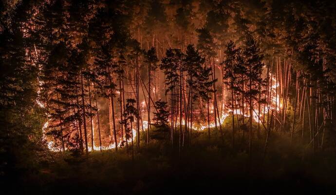 Waldbrand am Gardasee