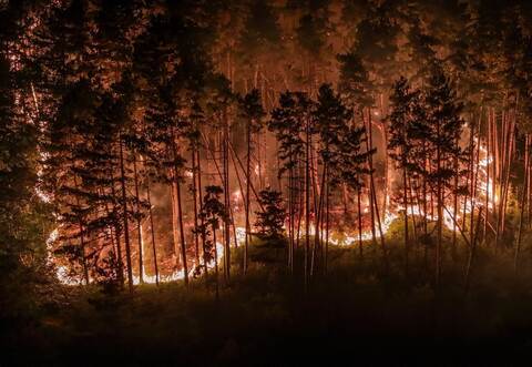 Waldbrand am Gardasee