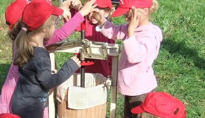 Hier stellen die Schulkinder konzentriert frischen Apfelsaft aus selbstgepflückten Äpfeln her.