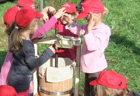 Hier stellen die Schulkinder konzentriert frischen Apfelsaft aus selbstgepflückten Äpfeln her.