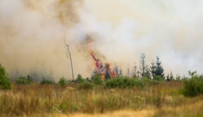 Waldbrand in Belgien