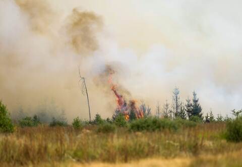 Waldbrand in Belgien