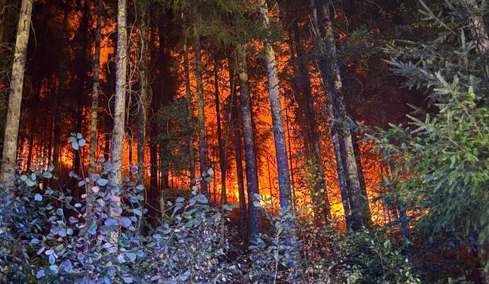 Waldbrand bei Schramberg