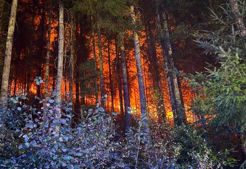Waldbrand bei Schramberg
