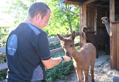 Alpaka Tierhalter Patrick Stellmach
