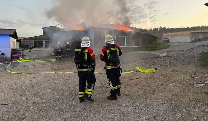 Brand 