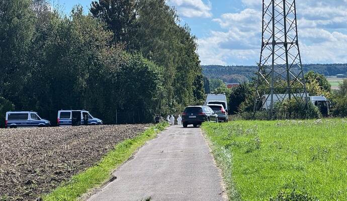 Festnahme im Zusammenhang mit Sabotage am Stromnetz