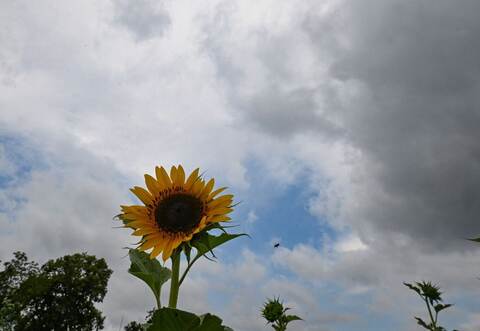 Wetter in Baden-Württemberg
