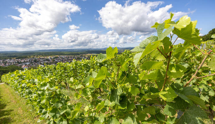 Keltern Dietlingen KuWi Weg Hochstraße