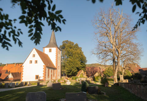 Die Linden am Friedhof Diefenbach sorgten für eine Kontroverse im Sternenfelser Gemeinderat.
