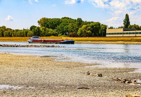 Niedrigwasser am Rhein