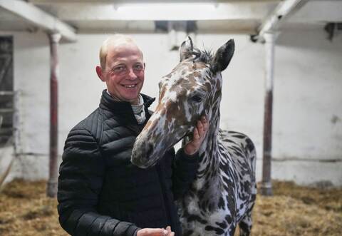 Ein zebrahaft geschecktes Fohlen