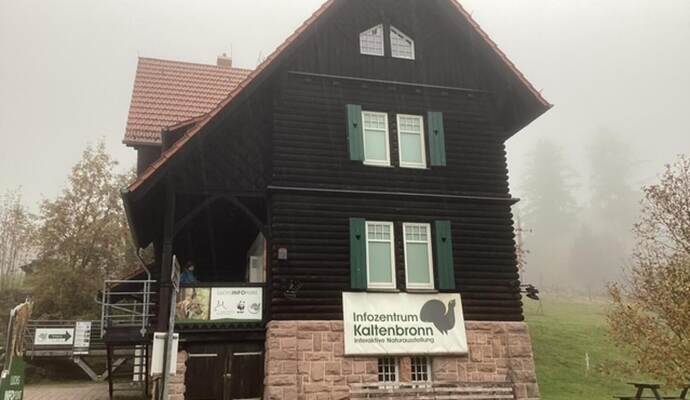 Trübe Aussichten am Kaltenbronn: Wegen schlechten Wetters musste der geplante Arbeitseinsatz zum Schutz des Auerhuhns abgesagt werden.