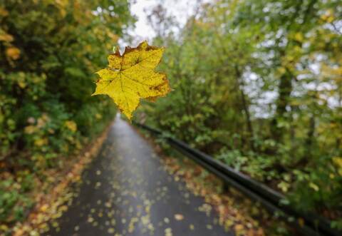 Wetter in Baden-Württemberg