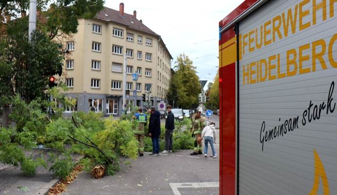 Sturmtief «Luise» - Heidelberg