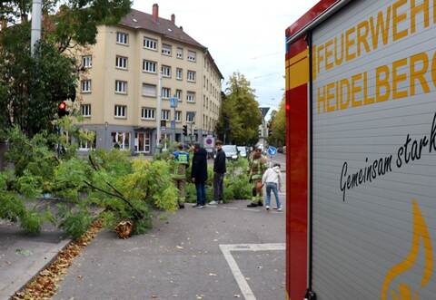 Sturmtief «Luise» - Heidelberg