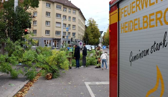 Sturmtief «Luise» - Heidelberg