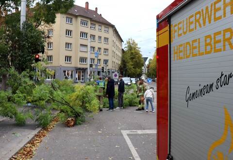 Sturmtief «Luise» - Heidelberg