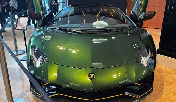 Justiz-Versteigerung von Luxus-Autos und Uhren