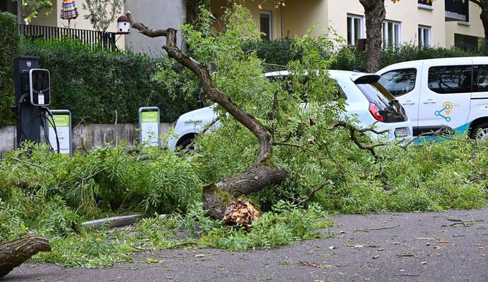 Sturm in Baden-Württemberg