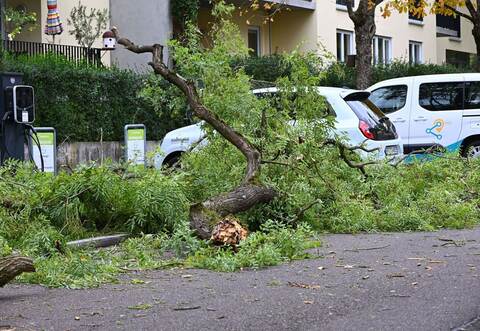 Sturm in Baden-Württemberg